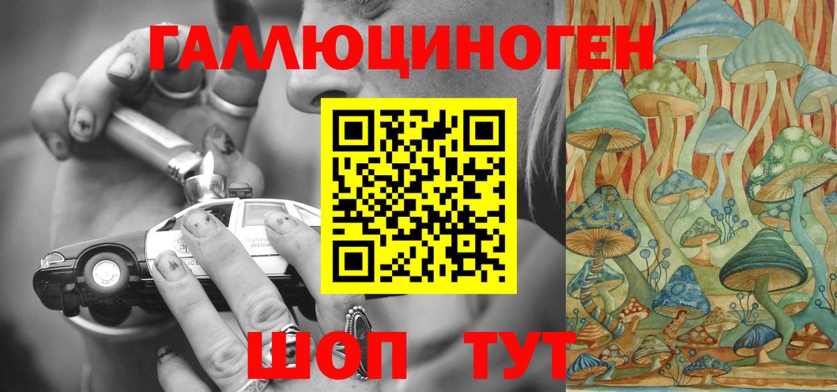 Псилоцибиновые грибы MAGIC MUSHROOMS  Вход с VPN  Майский 